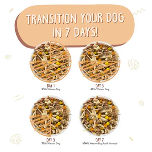 Wok the Dog - Image 4