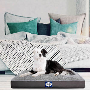 Sealy Cushy Comfy Orthopaedic Dog Bed - Image 2