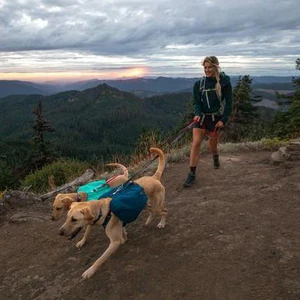 Ruffwear Front Range Day Pack - Image 4