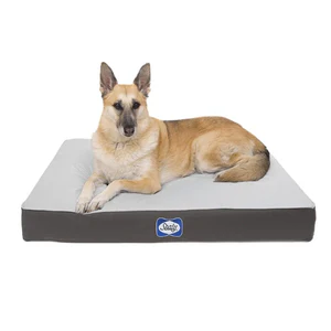 Sealy Defender Series Orthopaedic Dog Bed - Image 4
