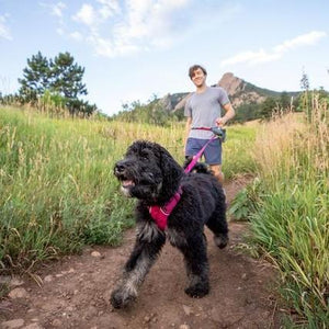 Ruffwear Front Range Harness (NEW)