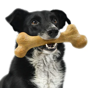 Pet Qwerks Dino Wood Barkbone Peanut Butter - Image 7