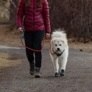 Ruffwear Just-a-Cinch Leash (NEW) - Image 2