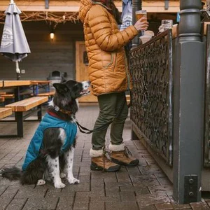 Ruffwear Stumptown Jacket - Image 3