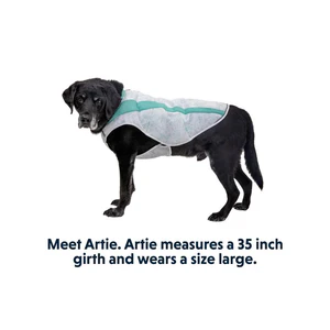 Ruffwear Swamp Cooler Cooling Dog Vest (New) - Image 8