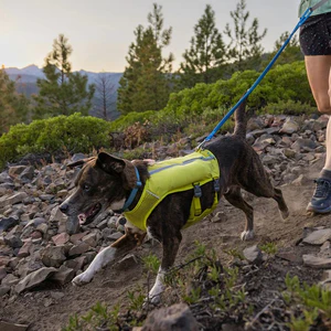 Ruffwear Trail Runner Leash - Image 2