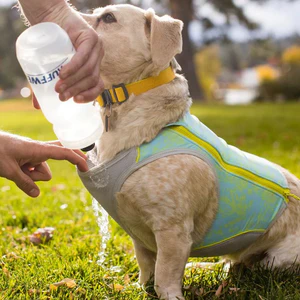 Ruffwear Swamp Cooler Zip Cooling Dog Vest - Image 8