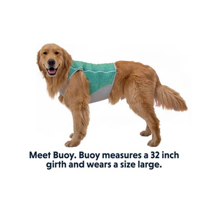 Ruffwear Swamp Cooler Zip Cooling Dog Vest - Image 6