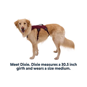 Ruffwear Webmaster Multi-Use Harness (New) - Image 9