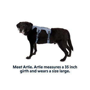 Ruffwear Webmaster Multi-Use Harness (New) - Image 7