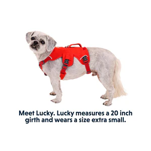 Ruffwear Webmaster Multi-Use Harness (New) - Image 4