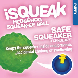 JW Pet Puppy Hedgehog Squeak-ee Ball - Image 3