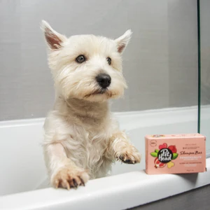 Pet Head Pomegranate Shampoo Bar - Image 2